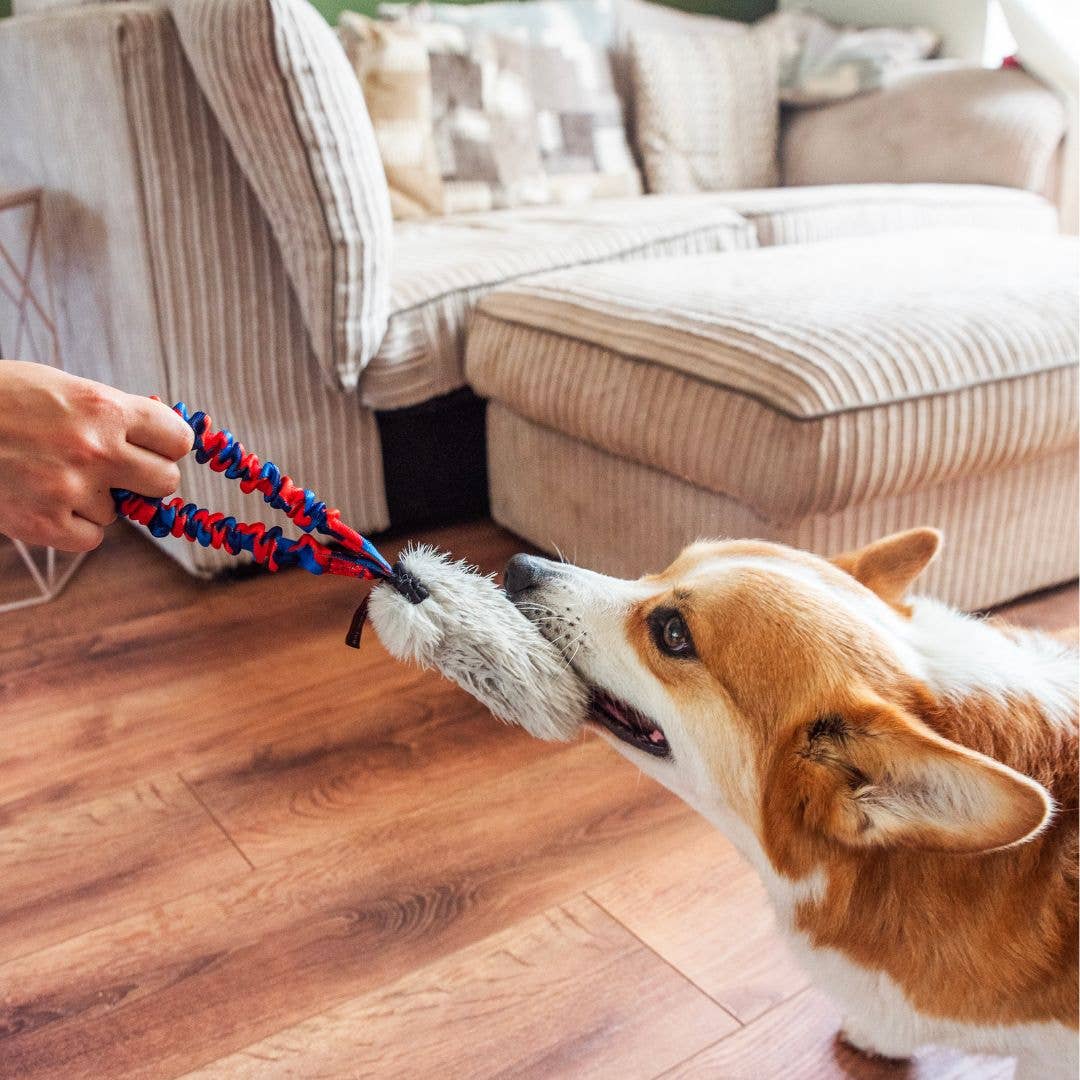 Faux Fur Pocket Bungee Squeaker toy with squeaker and bungee handle for small and large dogs