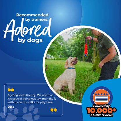 Fauxtastic PowerBall Bungee dog toy, faux fur, and bungee handle for high-energy play