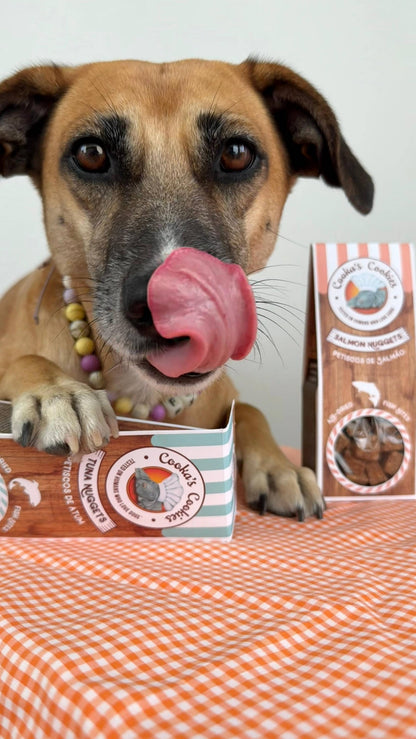 Salmon Nuggets air-dried fish treats for dogs, featuring natural salmon and cod ingredients in a kraft-style package.
