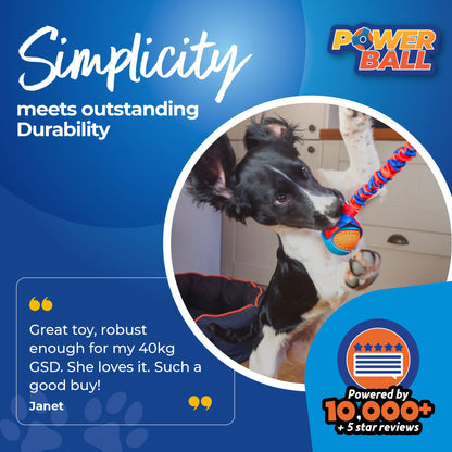 Tug-E-Nuff PowerBall Bungee Tug Dog Toy for fetch and tug play