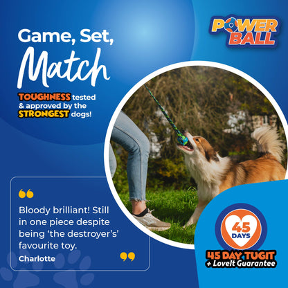 Tug-E-Nuff PowerBall Bungee Tug Dog Toy for fetch and tug play